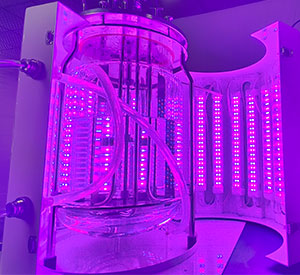 光照生物反應(yīng)器光照系統(tǒng) 光照生物反應(yīng)器光照系統(tǒng)