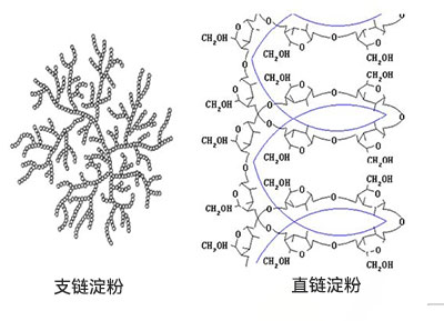 淀粉糖結(jié)構(gòu)