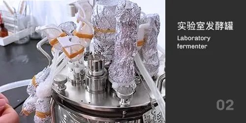 實(shí)驗(yàn)室發(fā)酵罐滅菌